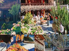 -寂照庵