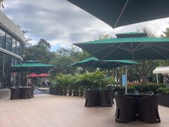 -三亚福朋喜来登酒店·大堂吧