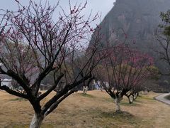 -十九峰景区