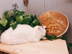 -叁秋咖啡 SANQIU COFFEE(天津河北路店)
