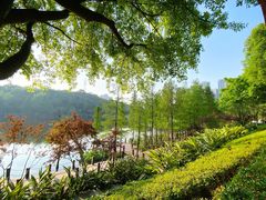 -重庆彩云湖湿地公园