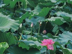 -云龙湖旅游景区