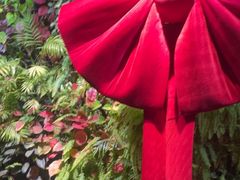 -泽云梵莲花足浴 按摩 SPA(滨湖店)