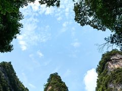 -光雾山旅游景区