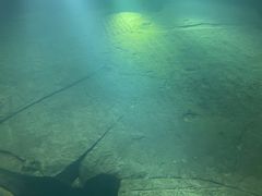 -白鹤梁水下博物馆