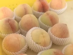 -老袁家蜜桃农场·阳山水蜜桃