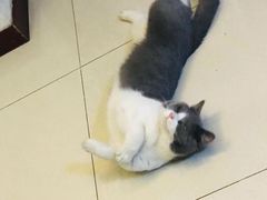 -宠颐生中康贝怡动物医院