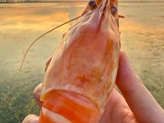 -品鲜村农家菜·阳澄湖大闸蟹(总店)