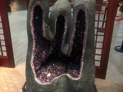 -烟台自然博物馆