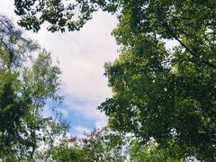 -新江湾城公园