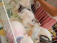 -凯德广场(金牛店)