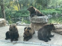 -北京野生动物园