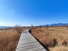 -野鸭湖国家湿地公园