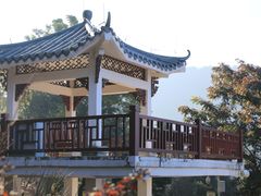 -广州市石门国家森林公园