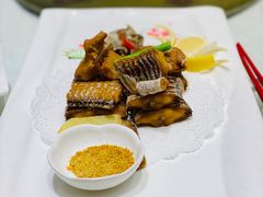 -骏莱海鲜鱼港(五角场店)