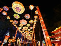 -欢乐海岸椰林沙滩-2025湾区超级灯会