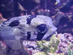 -常州海昌海洋探索馆