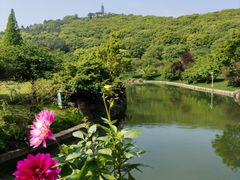 -苏州上方山国家森林公园