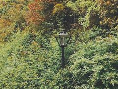 -宝界山林公园