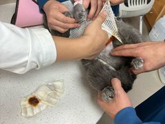 -联合动物医院(光谷诊疗中心)