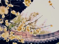 -钱王祠