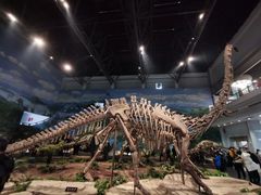 -自贡恐龙博物馆