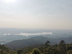 -水濂山森林公园