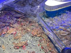 -澜悦港海鲜体验主题餐厅