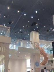 -奈尔宝·儿童乐园·亲子餐厅(华采天地店)