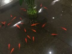 -豆花酒楼·三十八年匠心(秦皇东大街店)