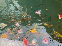 -新荣记(西溪湿地店)