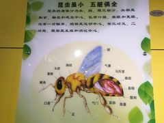 -上海昆虫博物馆