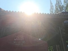 -上海醉白池公园