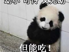 -辣伍鲜毛肚老火锅(元一店)