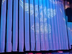 -斯卡拉演艺集团