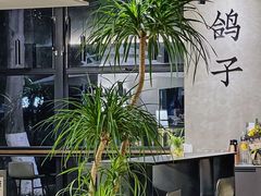 -野鸽子咖啡(中航店)
