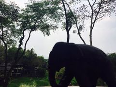 -四季酒店下午茶