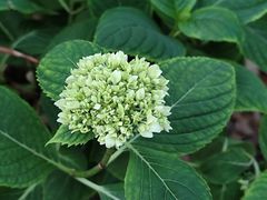 -共青国家森林公园-南大门停车场