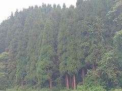 -龙苍沟森林公园