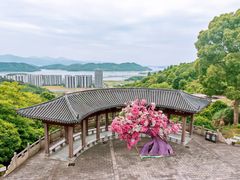 -黄贤森林公园
