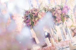 -巴黎新娘婚纱摄影·婚礼策划(嘉定总店)