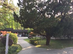 -第一山景区