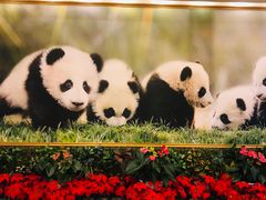 -成都驻京办餐厅(蜀都宾馆店)