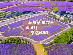 -桃花堤公园