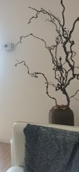-清疣美疣·痣·斑净肤中心