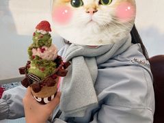 -哈根达斯(上海金山店)