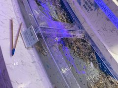 -澜悦港海鲜体验主题餐厅