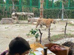 -上海野生动物园老虎餐厅