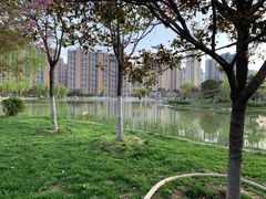 -木塔寺遗址生态公园