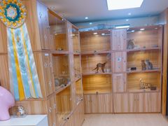 -猫十亿·布偶金渐层·曼基康矮脚猫舍(青年路店)